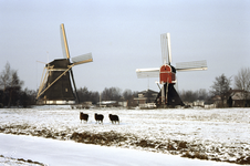 858062 Gezicht op de de Buitenwegse Molen (Hollandse wipmolen, Nedereindsevaart 2) te Oud-Zuilen (gemeente Maarssen).